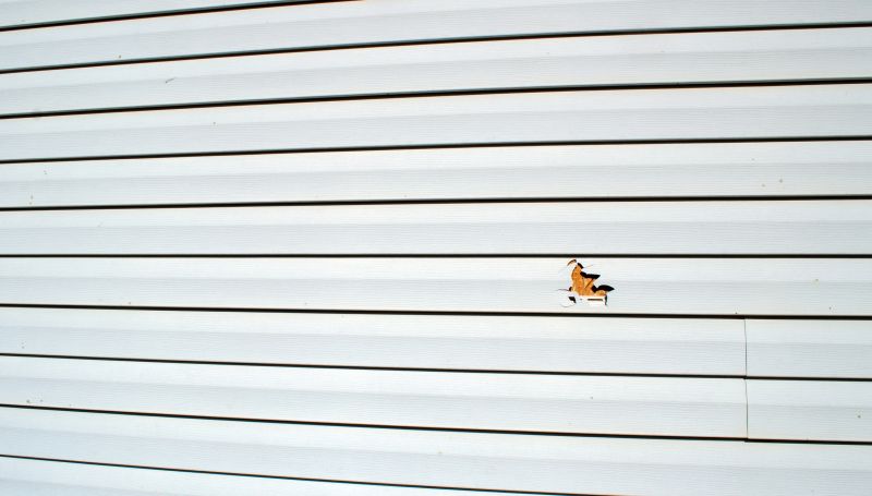 Assessment of Damaged Siding